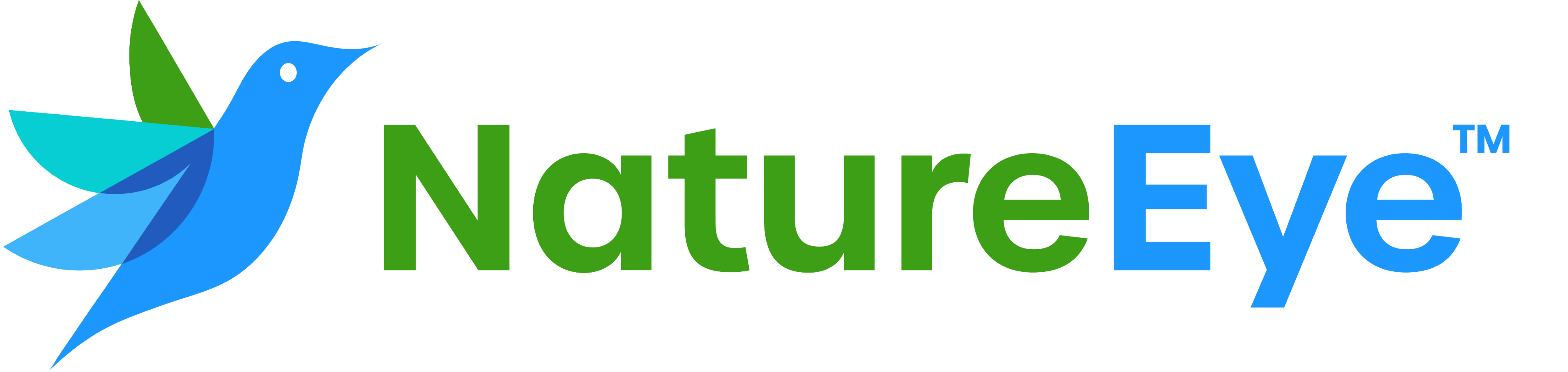 NatureEye Logo