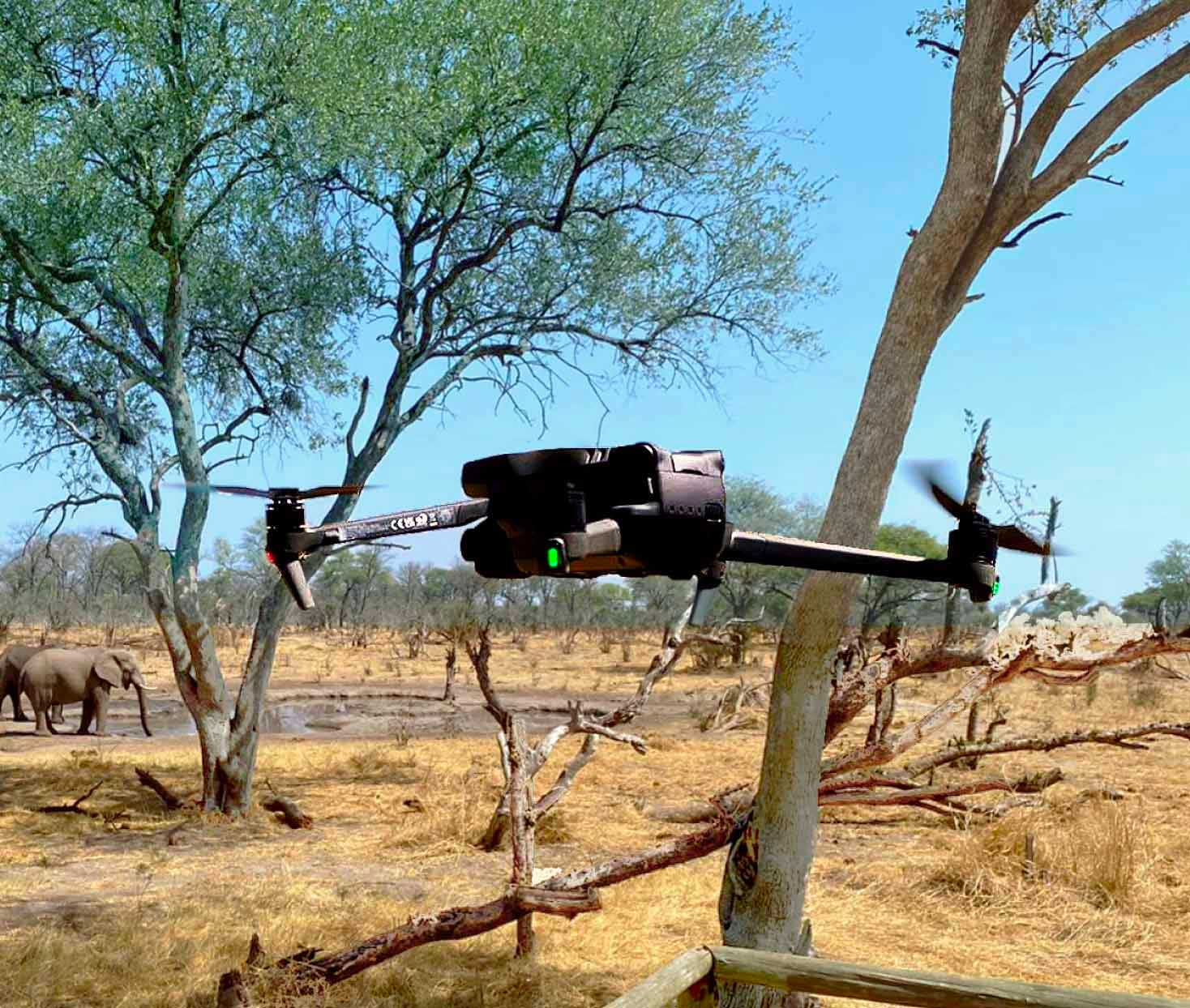 Drone flying in safari.