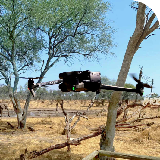 Drone flying in safari.