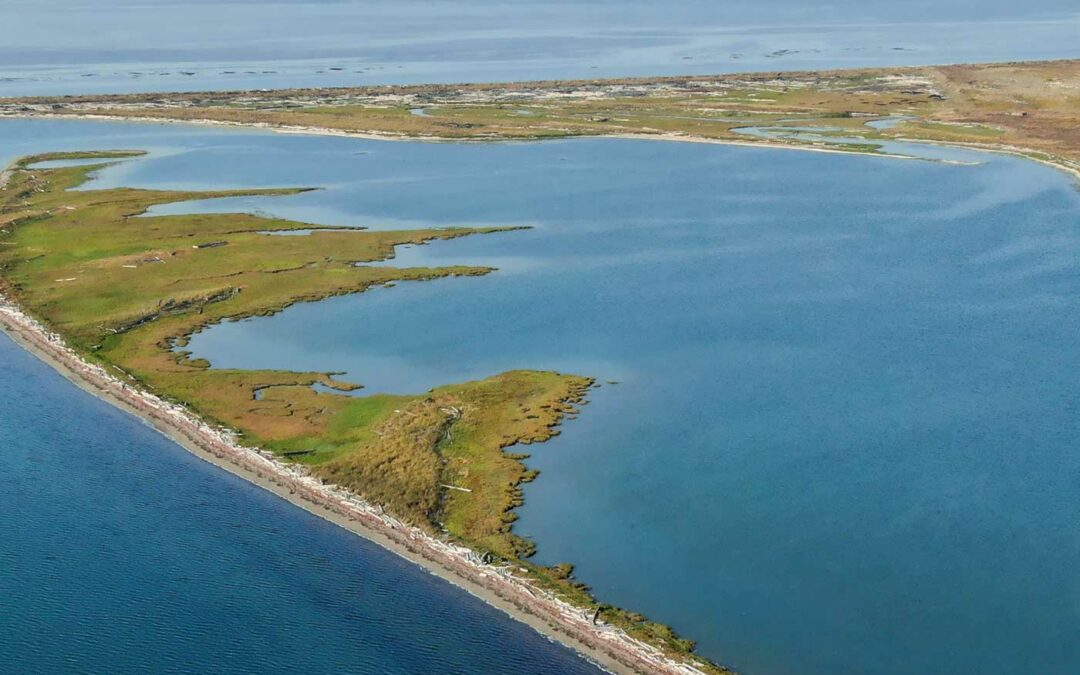 Dungeness Spit